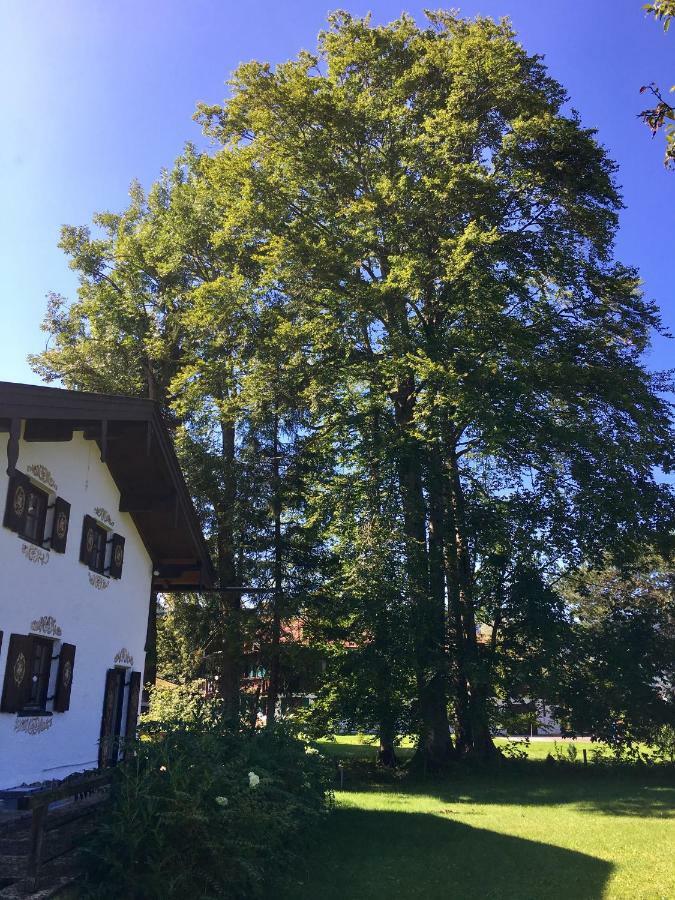 Traumhaftes Ferienhaus Direkt Am Tegernsee Rotta Екстериор снимка